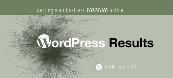wordpress-results